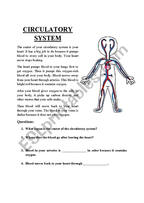 The Circulatory System Esl Worksheet By Mariola Pdd Images And Photos