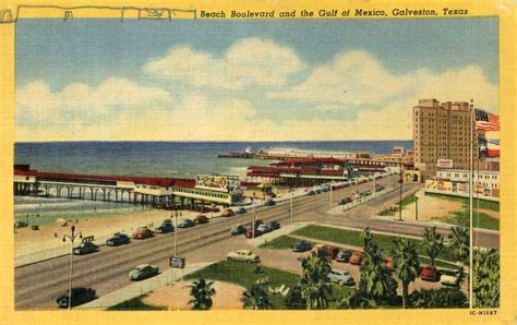 Postcard Hagins Collection Galveston Galveston Texas Beach