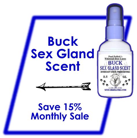 Buck Sex Gland Scent Paul Pollick S Whitetail Deer Lures
