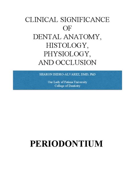 Clinical Significance Of Dental Anatomy Histology Physiology And