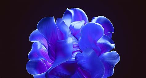 Windows 11 Bloom Wallpaper