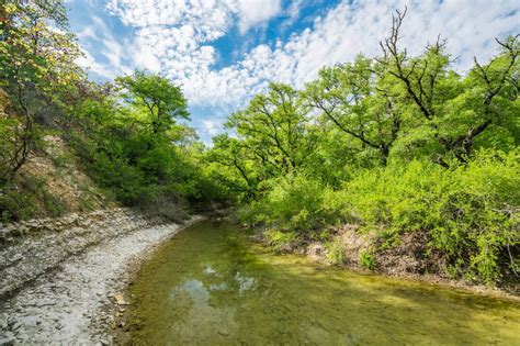 You have to know territory, the land, minerals, water rights for. Shoop Ranch West - Republic Ranches