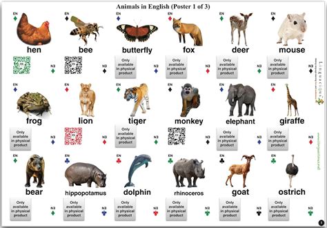 Learn Animal Names In English Eslbuzz Learning English