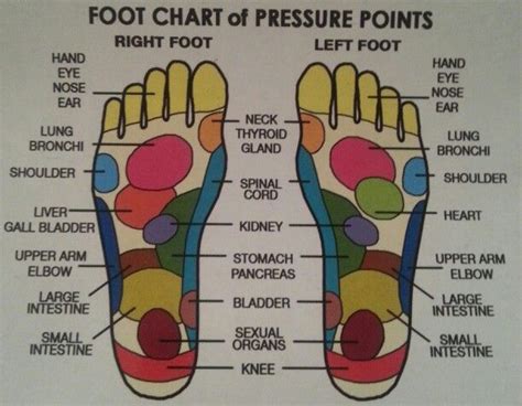 Foot pressure points | Living with foot pain | Pinterest ...