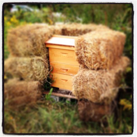 Created A Shelter Out Of Old Hay Bales For My Weaker Hive For The