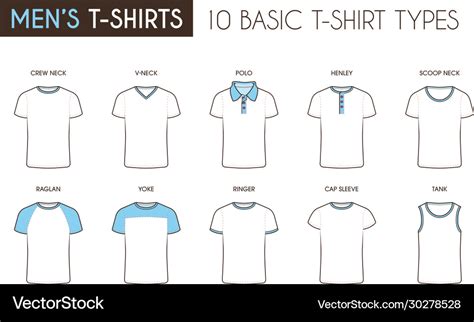 Mens Basic T Shirt Types Royalty Free Vector Image
