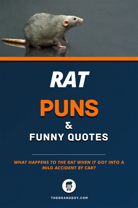 Rat Puns What Up Now
