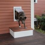 Check spelling or type a new query. Building A Step For A Dog Door - A Concord Carpenter
