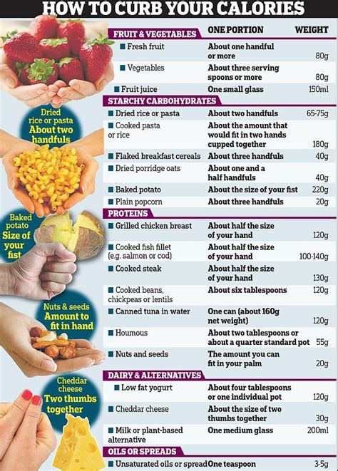 Nutritionists Launch Portion Size Guide To Tackle Overeating In 2021