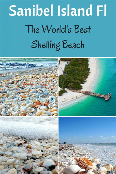 Sea shells of sanibel apartment reviews, sanibel island. Sanibel Island FL - The World's Best Shelling Beaches ...