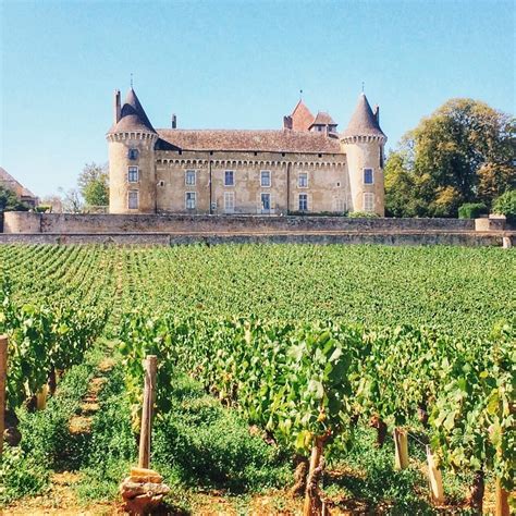 French Chateau in the Green Vineyards of Burgundy