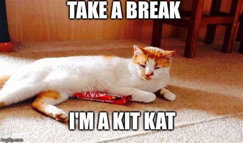 Create And Share Awesome Images Funny Cat Memes Kit Kat Meme Maker