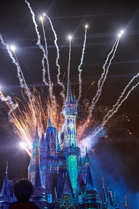 Pink Firework Disney Castle Stock Photos Free And Royalty Free Stock