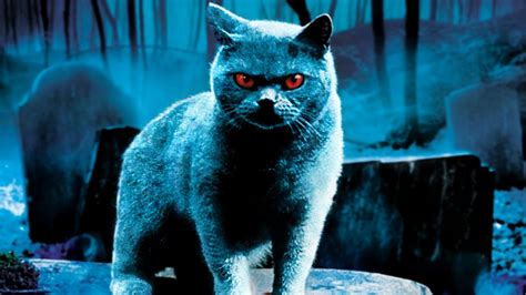 Vibrant, quality giclee print with ultrachrome hd inks on quality. Pet Sematary (1989) - Mary Lambert ~ Horror Movie Project