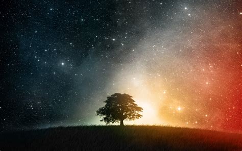 Wallpaper Trees Colorful Night Galaxy Planet Nature Milky Way