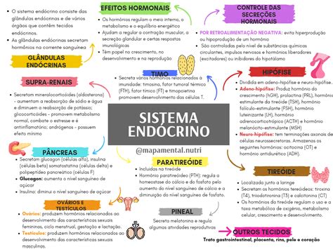 Mapa Mental De Sistema Endocrino Passei Direto Sistema Endocrino The