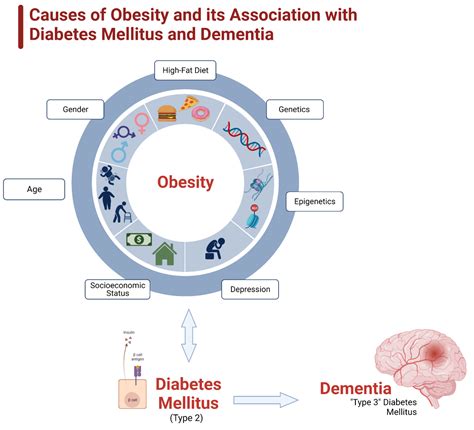 Ijms Free Full Text The Role Of Obesity And Diabetes In Dementia