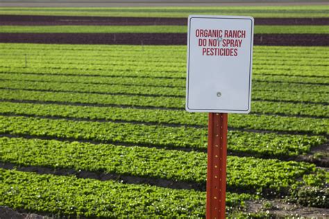 Chemical pesticides are often used to control diseases, pests or weeds. Biological Seed Treatments for Vegetables| Germains Seed ...