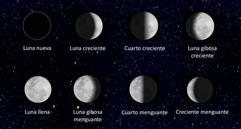 Las Fases De La Luna Horoscoposonline Kulturaupice
