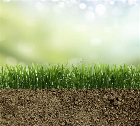 131046 Dirt Grass Stock Photos Free And Royalty Free Stock Photos From