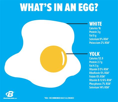 As i wrote before medium size scrambled egg (49 g) has 73 calories. Egg Yolk Fat - Masturbation Network