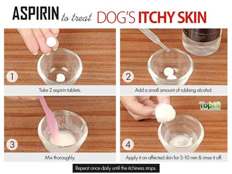 Home Remedies To Deal With Itchy Skin In Dogs Top 10 Home Remedies