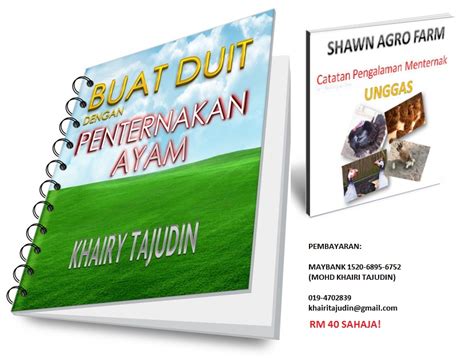 Today we build a simple chicken coop/ build for fun.thank you for watching. ayam: reban ayam daging moden