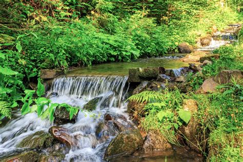 Free Forest Stream Splashes On The Rock Cascade Stock Photo