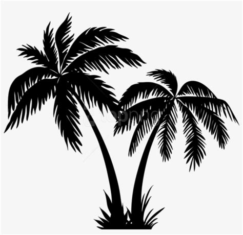 We did not find results for: Free Png Palms Silhouette Png - Coconut Tree Clipart Black ...