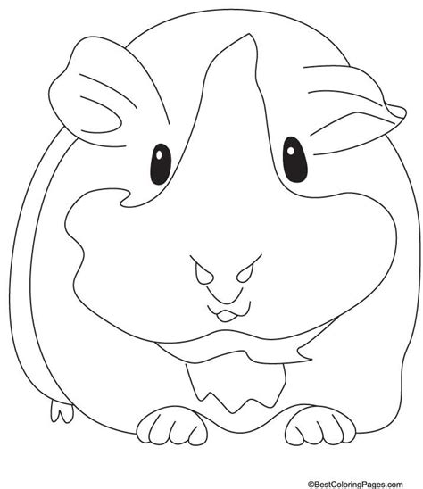 Ausmalbilder hasen meerschweinchen unique ausmalbilder kaninchen ae photo de. pig coloring pages - Saferbrowser Yahoo Image Search ...
