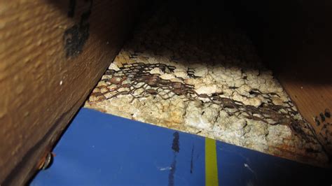 They all use a drain designed for their systems. Mud Shower Pan - Bad? - Tiling, ceramics, marble - DIY ...