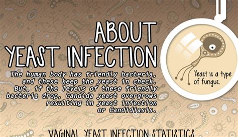Cytolytic Vaginosis Symptoms | HRFnd
