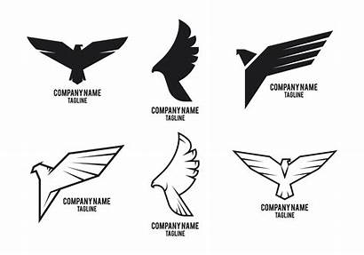Hawk Vector Company Falcon Bird Wings Logos