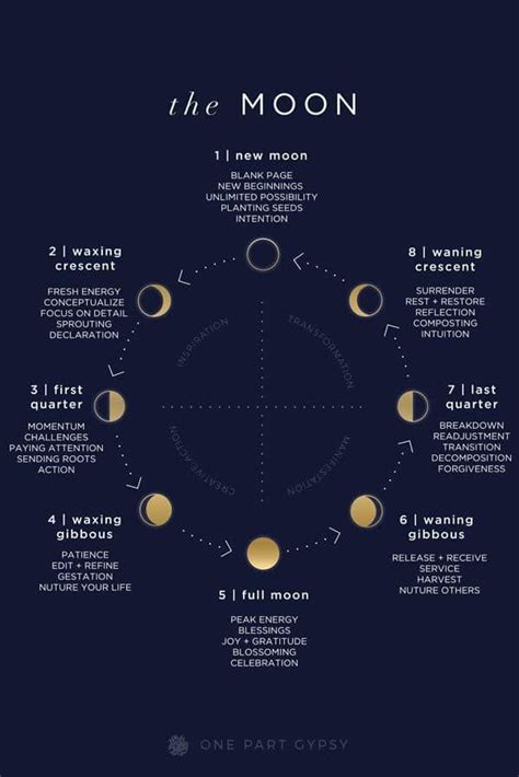 Moon Phases Astrology Moon Phases Lunar Cycle