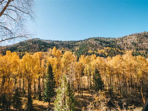 The Best Telluride Hikes and Things to Do in this Picturesque Colorado