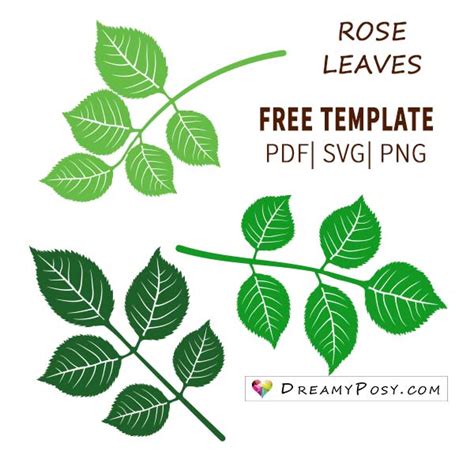 Easy Tutorial To Make A Paper Rose Free Template