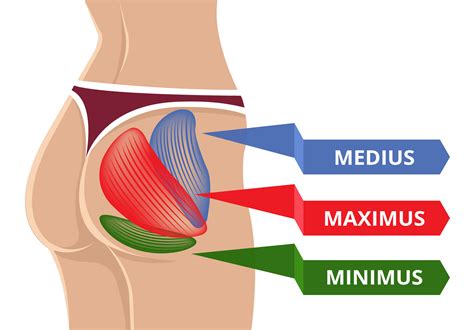 It will generate a textual output indicating which elements are in each intersection. 4 Butt-Building Accessories For Bigger Glute Gains - Femniqe