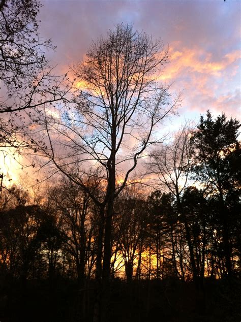 Sunset thru trees, Mother Nature at work. Asheboro NC | Sunset, Mother