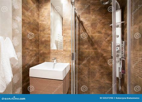 Bathroom With Shower And Sink Stock Photo Image Of Hygiene Apartment