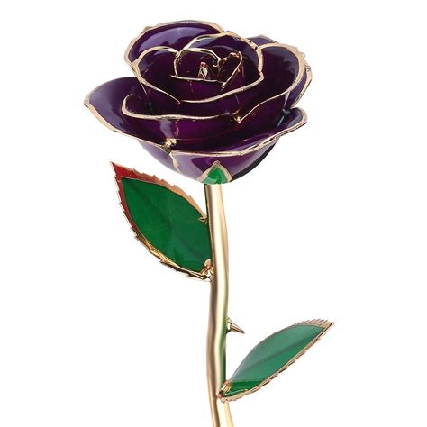 Check spelling or type a new query. Valentines Day Gifts For Her ,QGSTAR 24k Gold Dipped Real ...