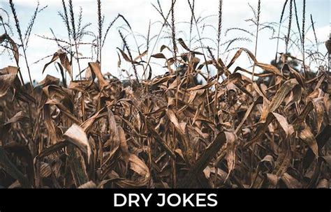 65 Dry Jokes To Make Fun Jokojokes