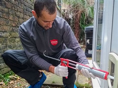 Available 24 hours emergency for all kind of residential 24 hours pest control services london. Mice control London | Prime Pest Control London