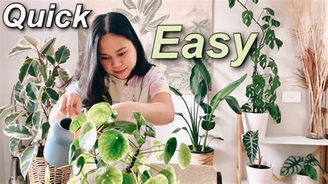How To Water Indoor Plants Easily Youtube