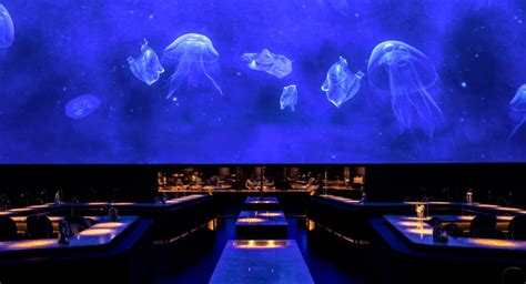 Amazon's choice for planetarium projector. Planetarium-style ceiling arches over diners inside the ...