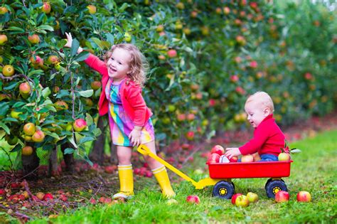 I knew that once i got older, i would want to have… Apple Picking NJ Hotspots - NJMOM