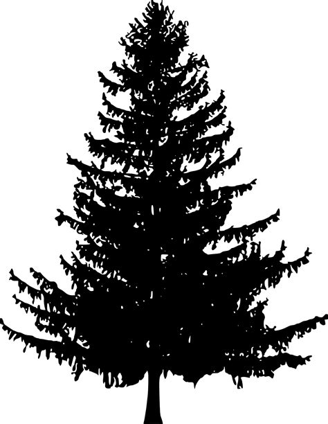 Fir Tree Png Black And White Transparent Fir Tree Black And Whitepng
