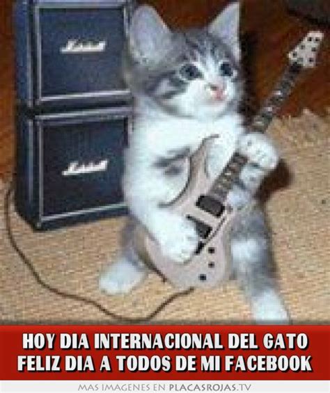 Pero, ¿por qué se festeja este día para los mininos?. HOY DIA INTERNACIONAL DEL GATO FELIZ DIA A TODOS DE MI ...