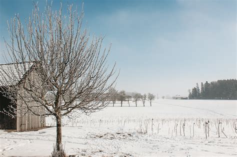 Winter Holiday Traditions From Around The World Wanderer Writes