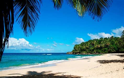 Descubra Las 10 Mejores Playas En Republica Dominicana