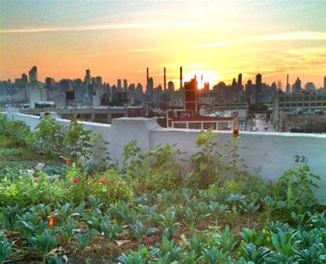 Urban Gardening New York City Farm House